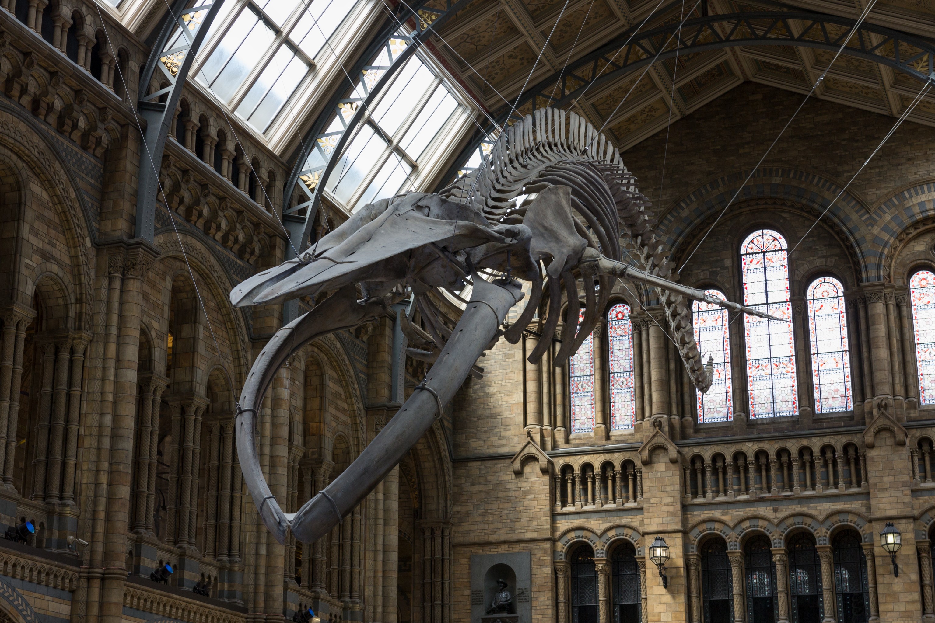 Preventing the summer slide at the Natural History Museum