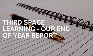 Third Space Learning - End of year report