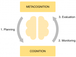 metacognitive cycle: metacognitive strategies