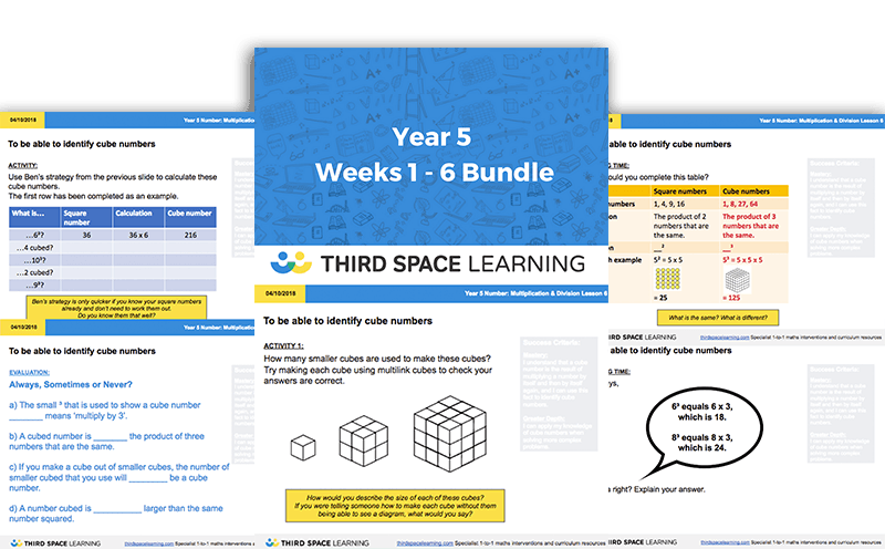 Year 5 Weeks 1 - 6 Bundle
