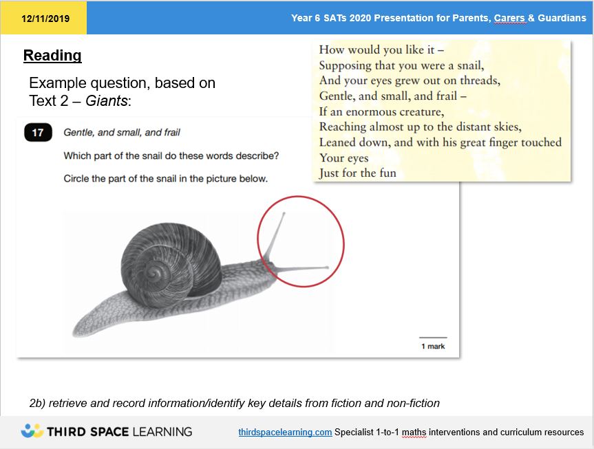 sats 2020 reading test image