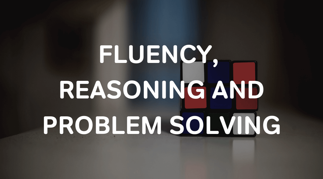 problem solving reasoning fluency