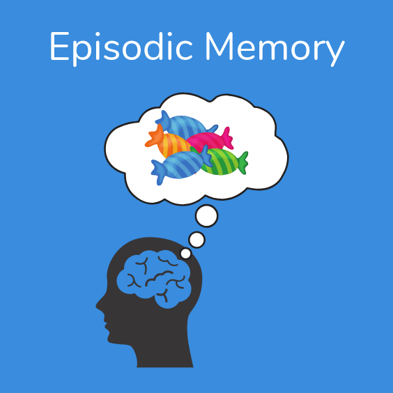 episodic memory example