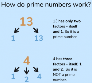What Is A Prime Number? Explained for Parents and Kids