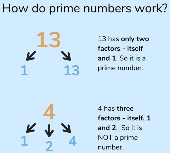 What Is A Prime Number Explained For Parents Teachers Children