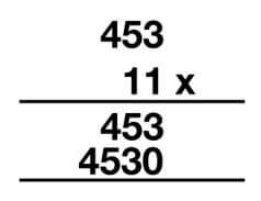 long multiplication method with partial products