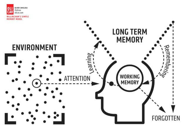 cognitive load theory