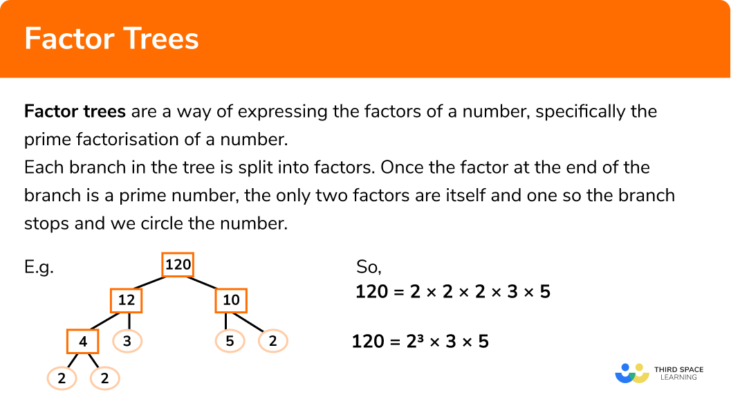 Prime Numbers In Relation To Drawing Trees Wade Wifulated