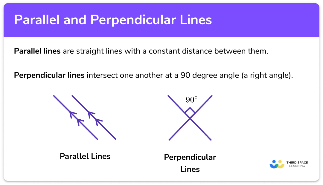 What are parallel and perpendicular lines?