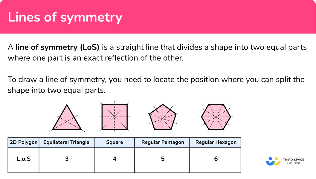 What are lines of symmetry?