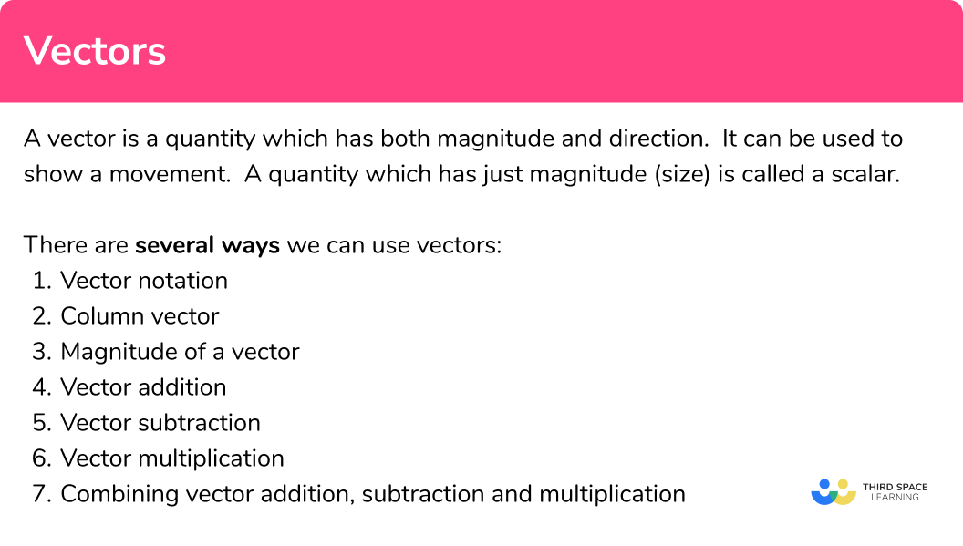 What is a vector?