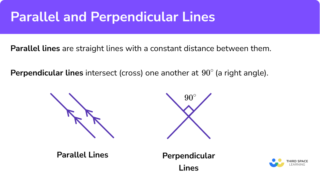 What are parallel and perpendicular lines?