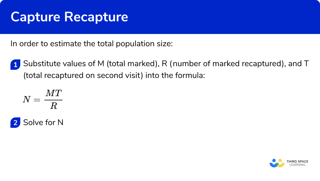 Capture Recapture - GCSE Maths - Steps, Examples & Worksheet