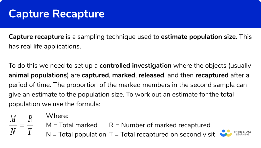 What is capture recapture?