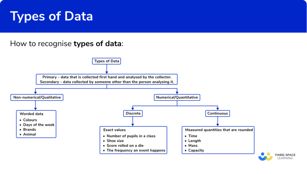 types of data worksheet tes