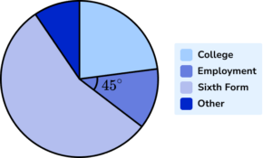 Pie chart Example 6 Step 1 Image 2