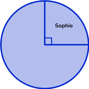 Pie chart GCSE Question 2a