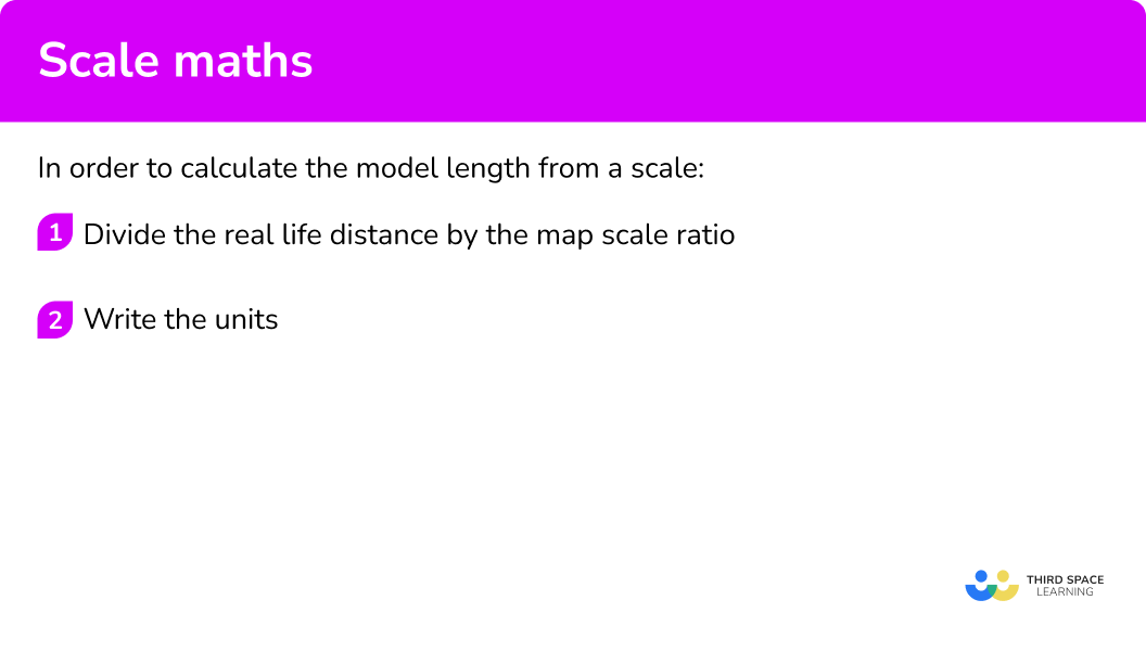 Explain how to calculate the model length from a scale