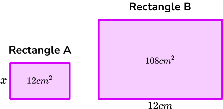 ratio scale example 5