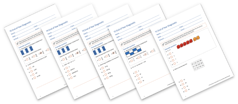 free-end-of-year-diagnostic-assessment-pack