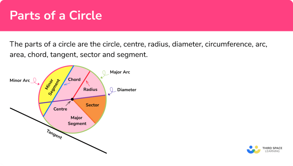 Parts Of A Circle - GCSE Maths - Steps, Examples & Worksheet