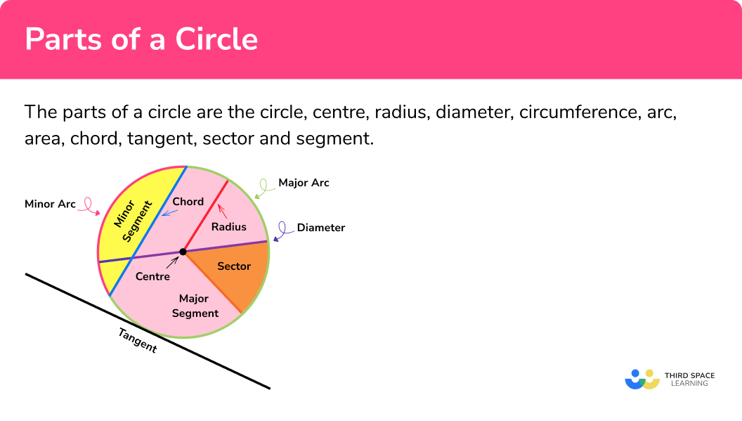 Parts Of A Circle Parts Of A Circle Math Examples Worksheets My XXX