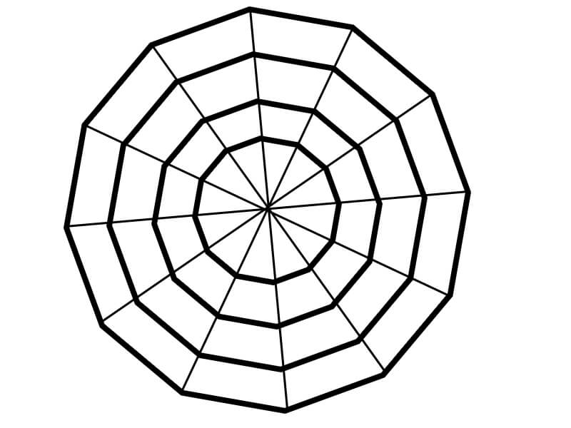 spider web area and perimeter