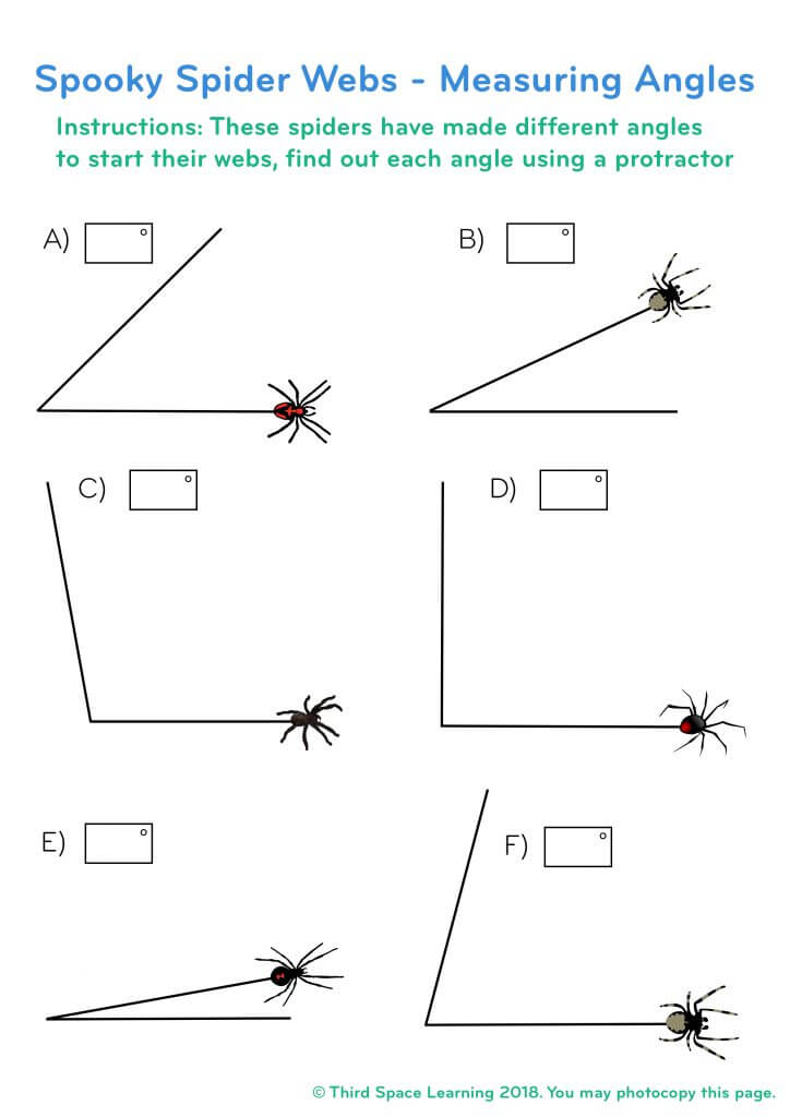 spooky spider web measuring angles