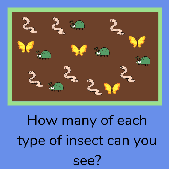 different types of insects under an old flowerbed