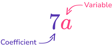 Algebraic Terms image 2