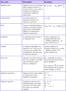 Algebraic Terms - GCSE Maths - Steps, Examples & Worksheet