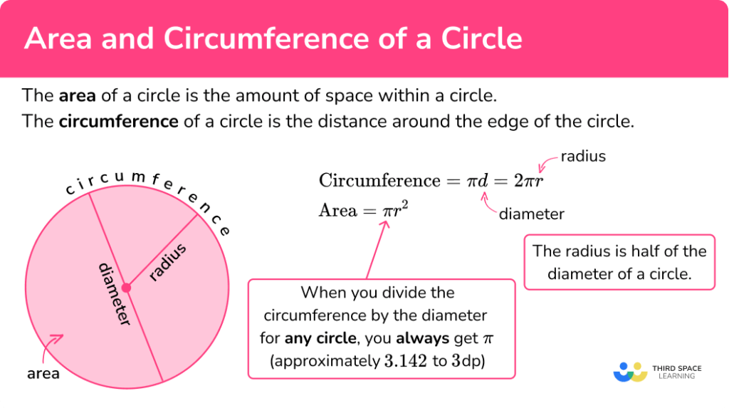 Area And Circumference Of A Circle - GCSE Maths Guide