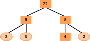 Factor Trees image 24 US
