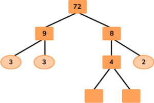 Factor Trees image 25 US