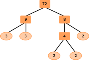 Factor Trees image 26 US