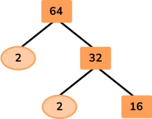 Factor Trees image 29 US