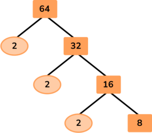 Factor Trees image 30 US