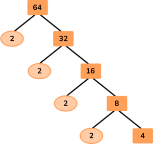 Factor Trees image 31 US