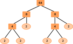 Factor Trees image 33 US
