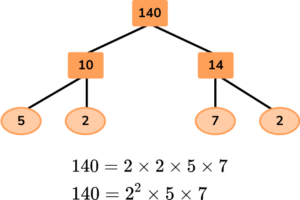 Factor Trees image 36 US