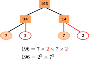 Factor Trees image 40 US