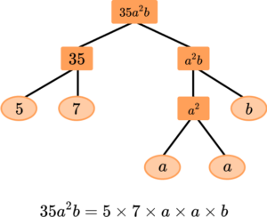 Factor Trees image 42 US
