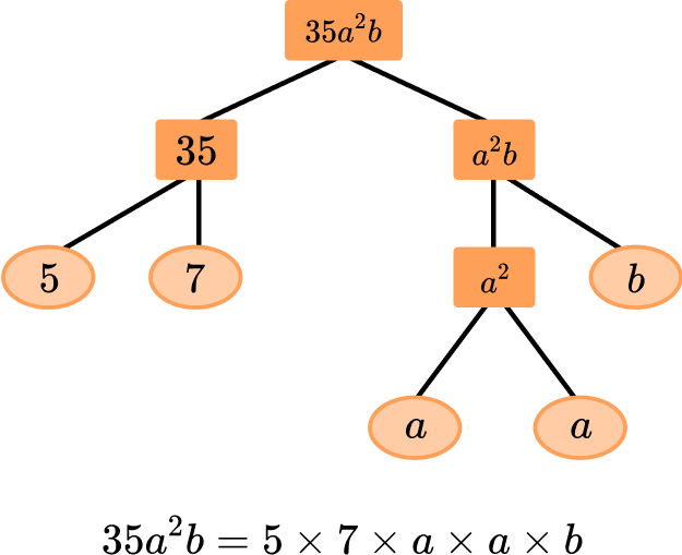 Factor Trees - Elementary Math - Steps, Examples & Questions