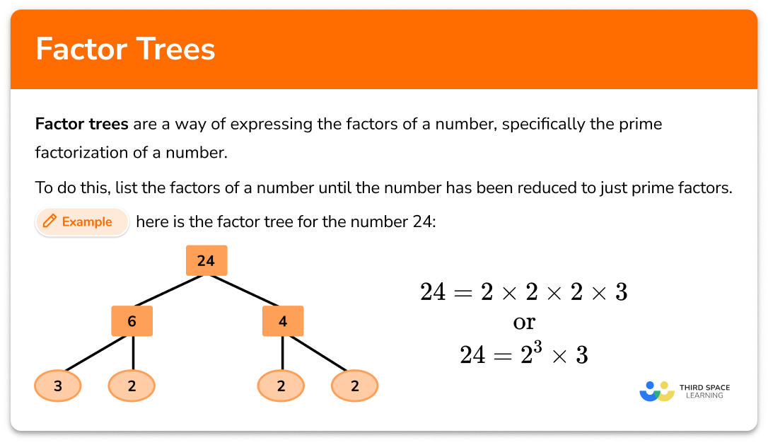 Factor Trees Math Steps Examples Questions