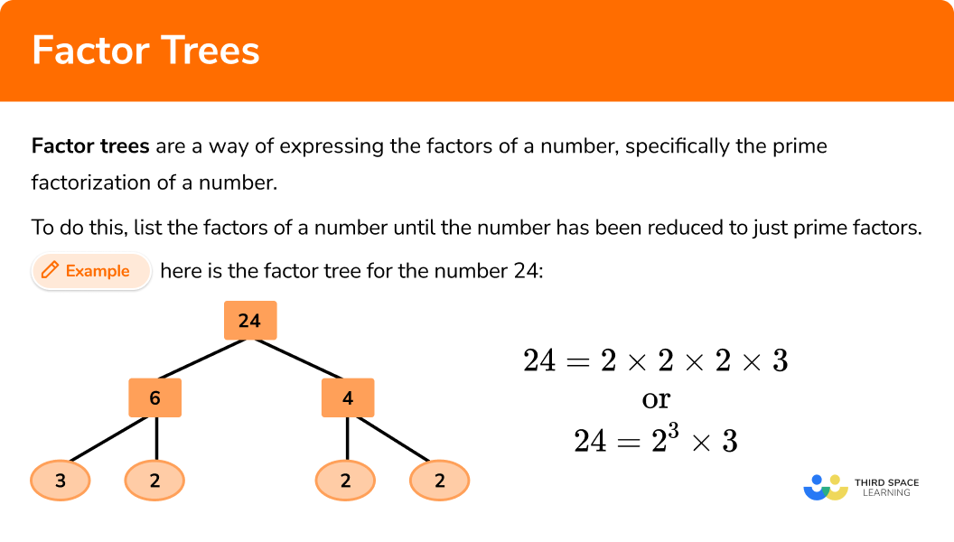 What are factor trees?