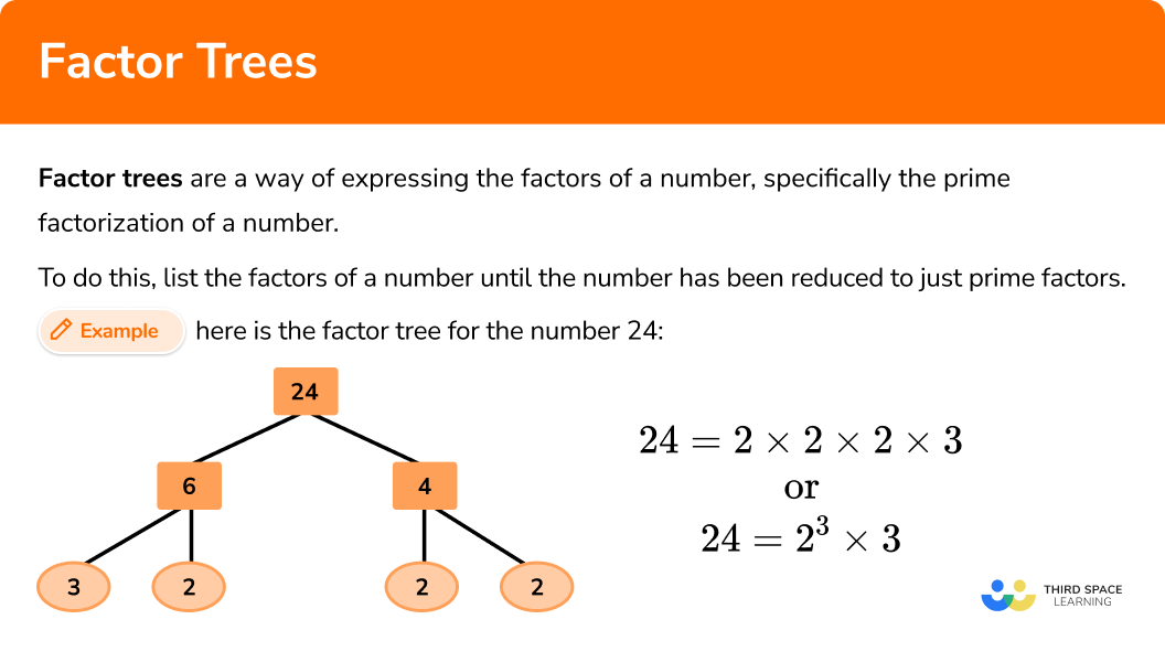 Factor Trees Math Steps Examples Questions