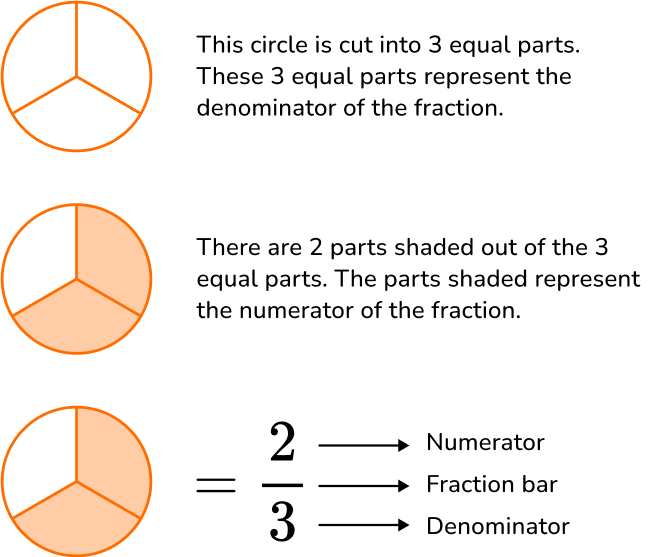Numerator And Denominator image 1