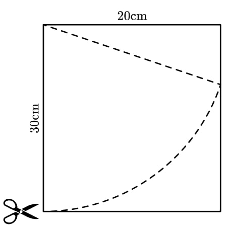 section of a radius