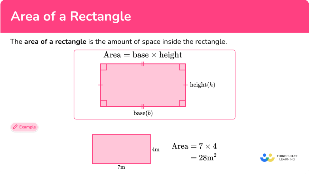 Area of a Rectangle Math Steps, Examples & Questions