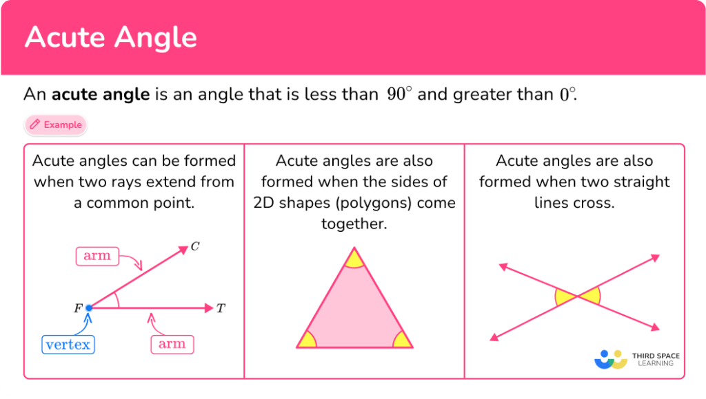 Acute Angle - Math Steps, Examples & Questions